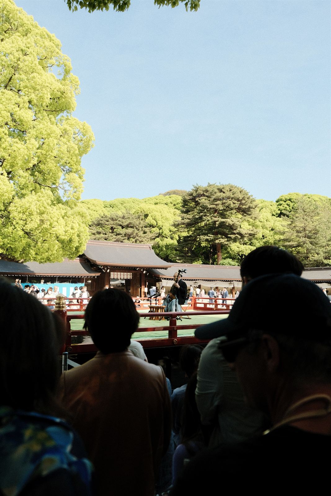 Crowd watching a shamisen performance at Meiji Shrine, Tokyo