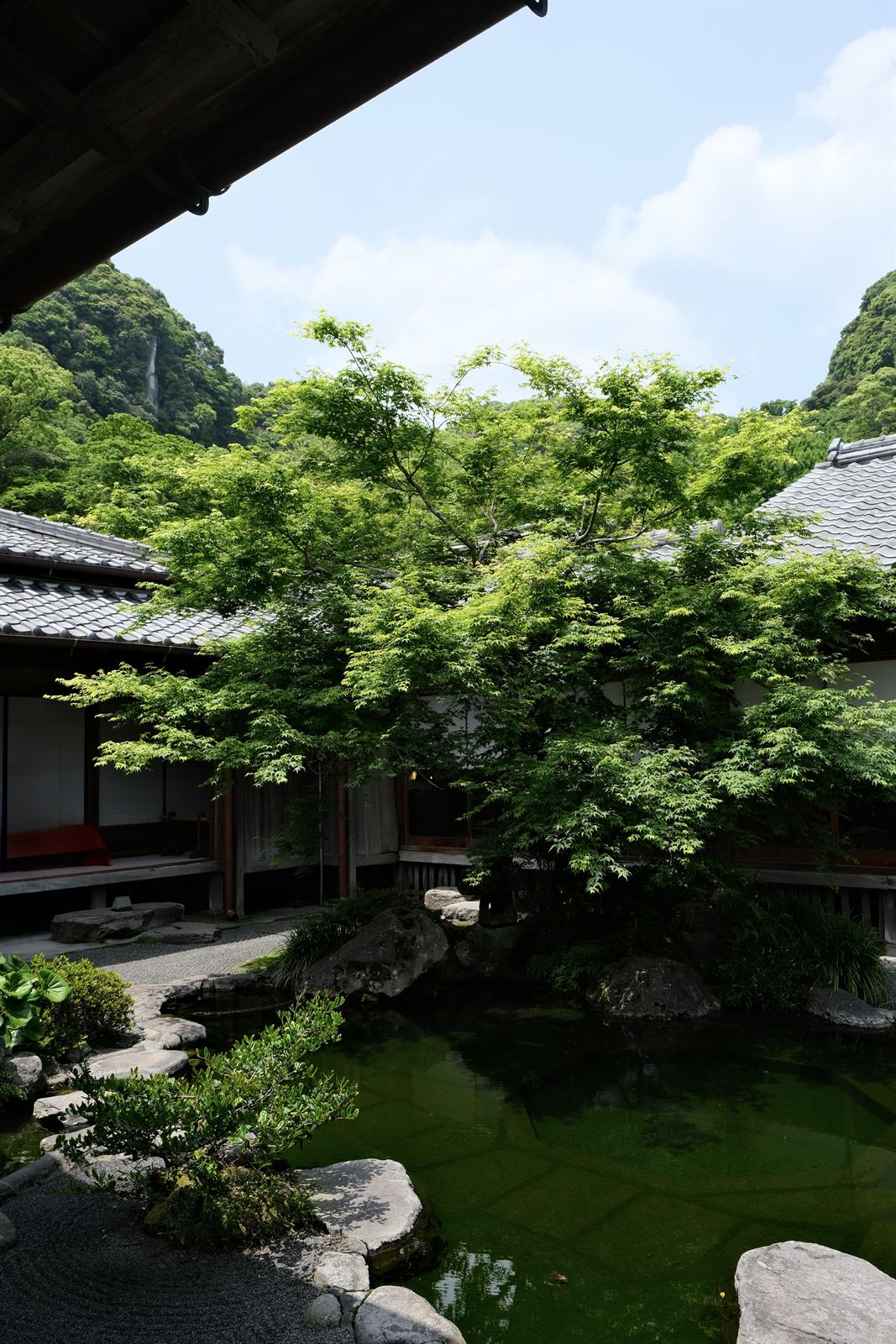 Temple garden pond and maples, southern Japan