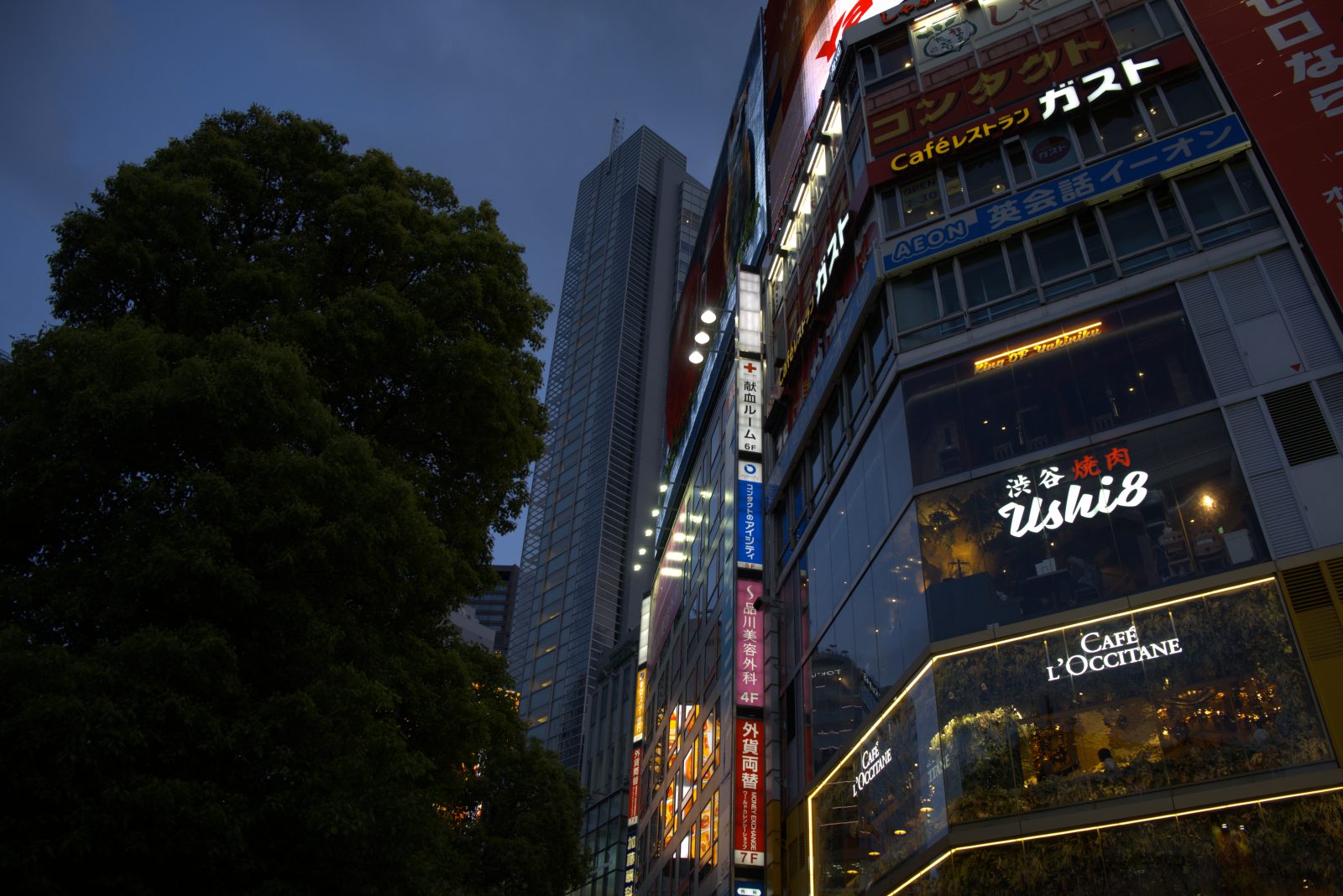 Signs lighting up a Shibuya building at dusk, Tokyo