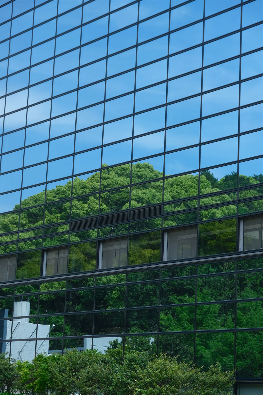 Hillside reflected in a glass office facade, Kagoshima