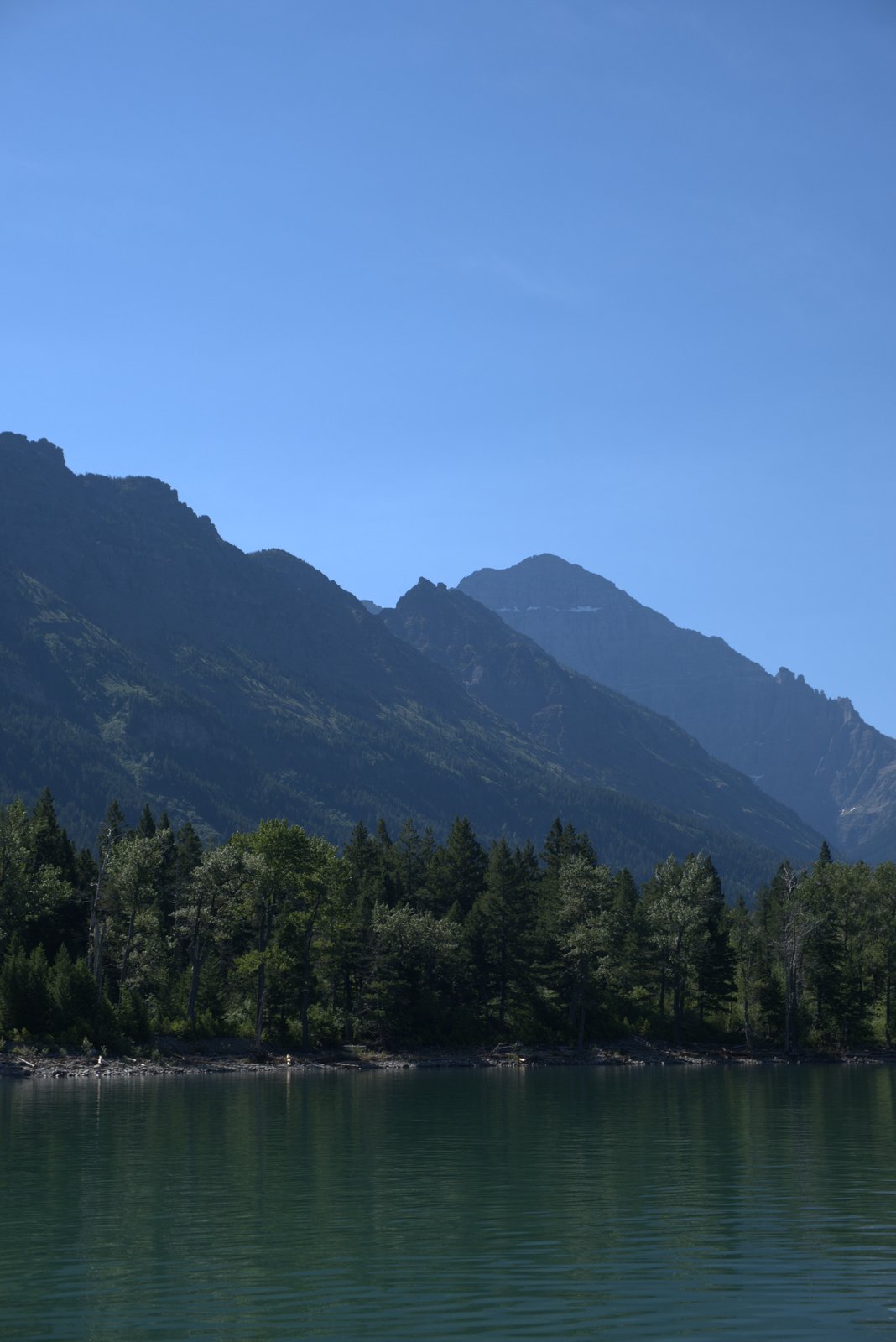 Forested peaks above a mountain lake, Waterton Lakes