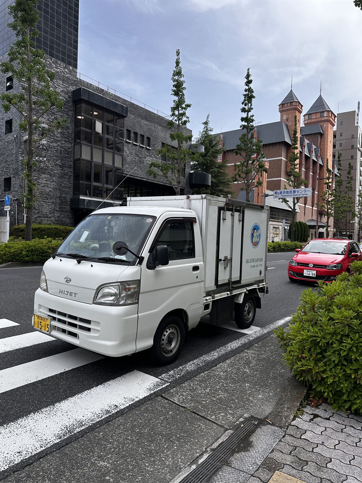 Small delivery truck at a crosswalk, Kagoshima