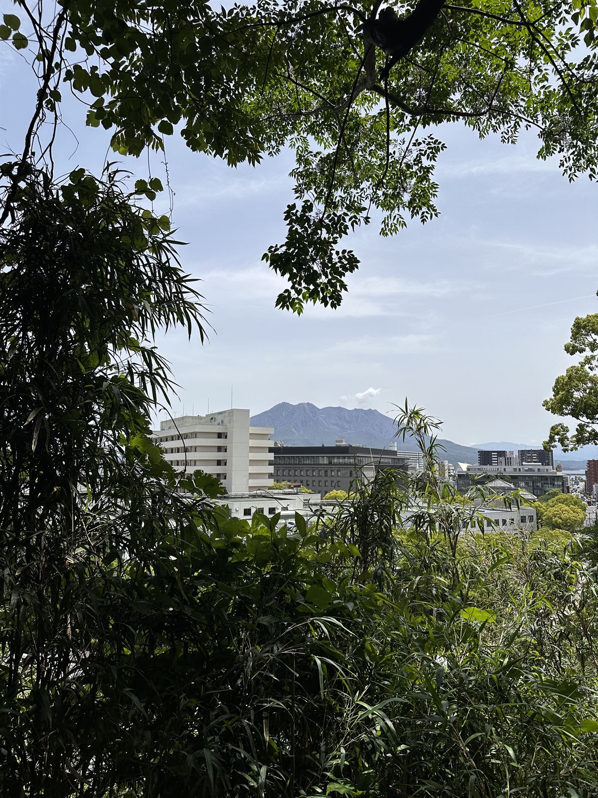Sakurajima beyond the rooftops of Kagoshima