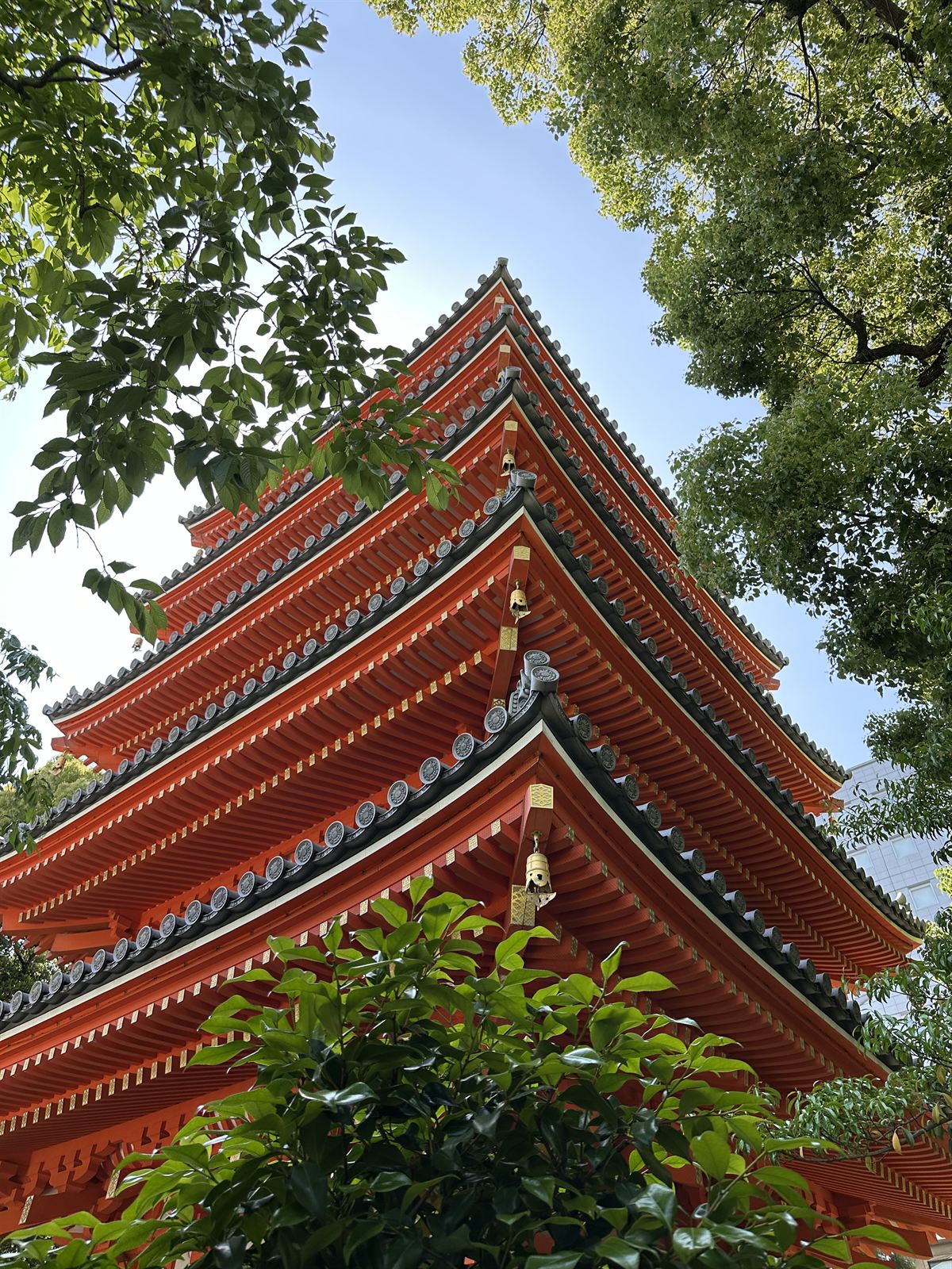 Five-storey pagoda among trees, southern Japan
