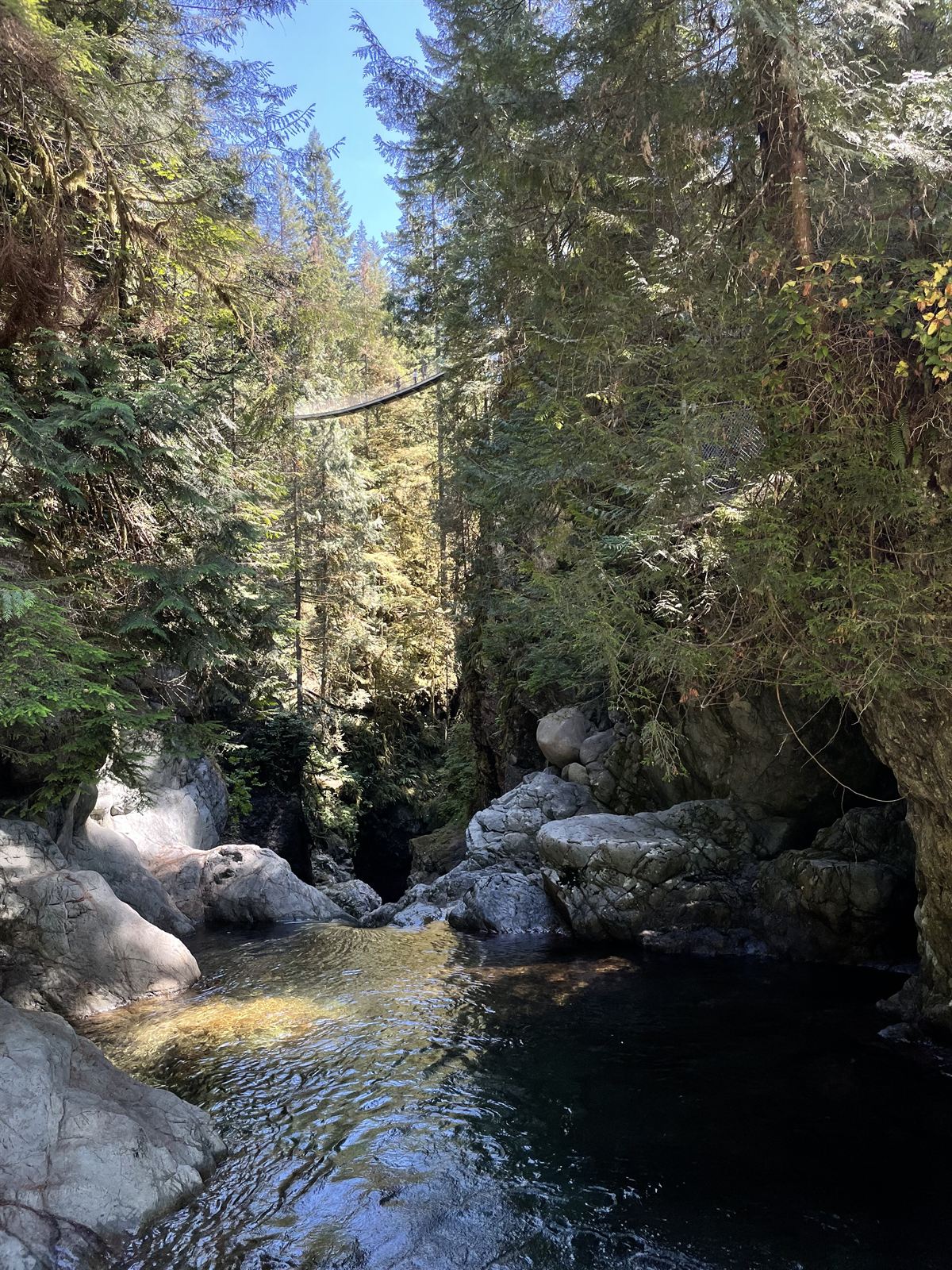 Suspension bridge over Lynn Canyon, North Vancouver