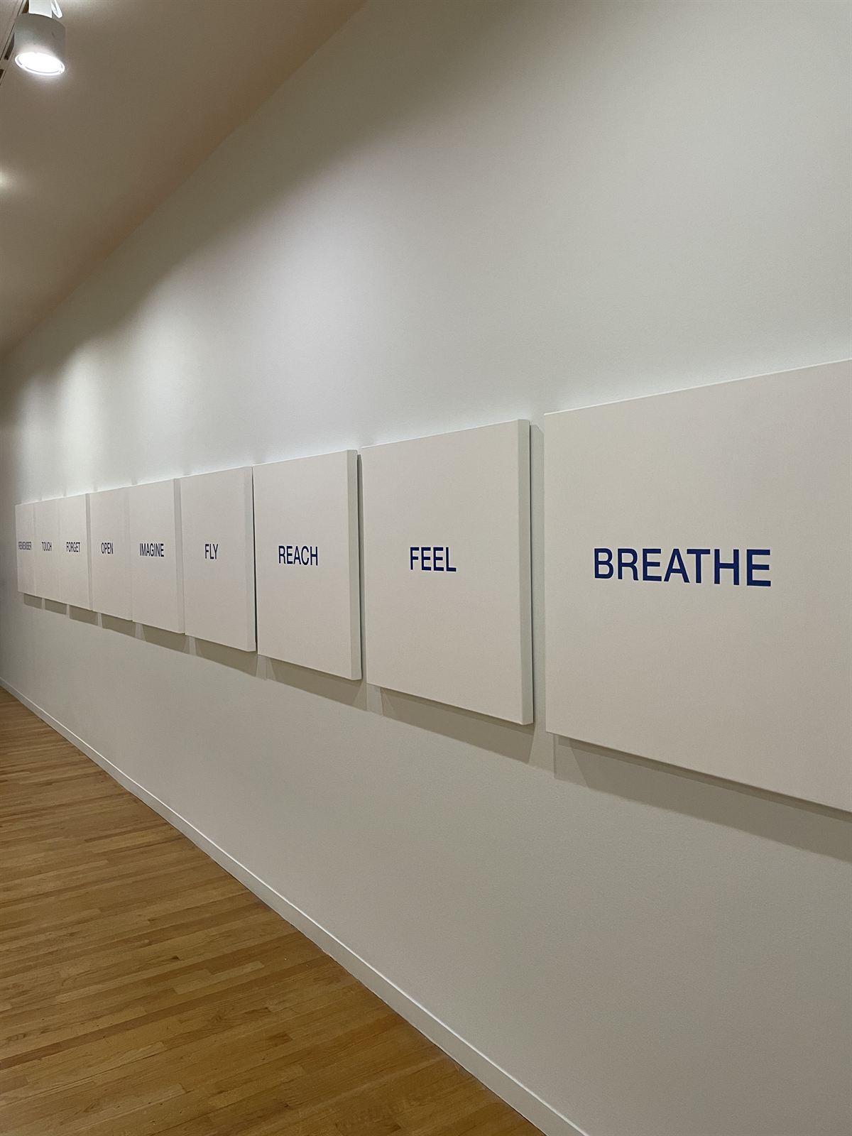 Word canvases along a gallery wall, BC