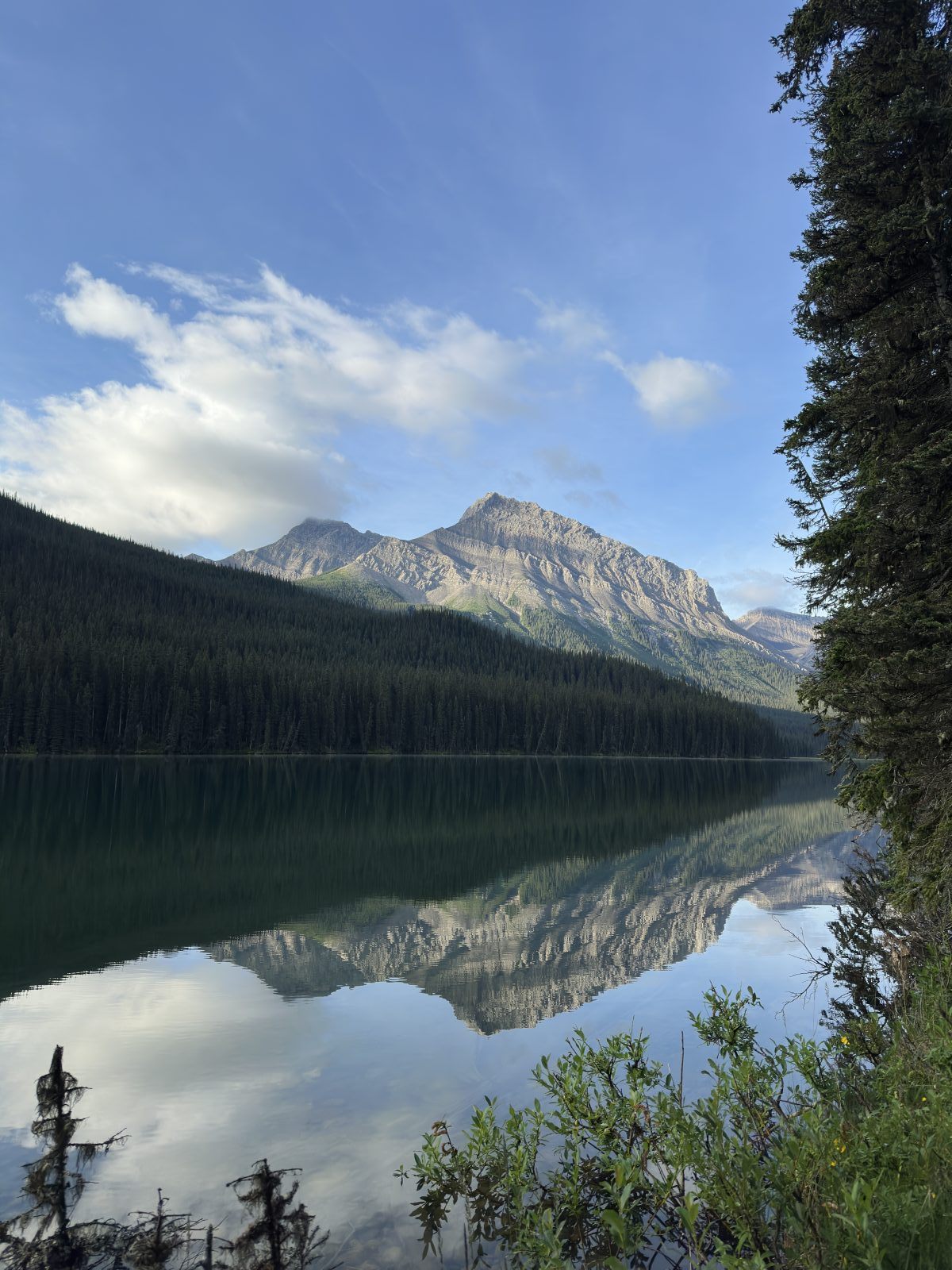 Still morning reflection on a mountain lake, Alberta Rockies