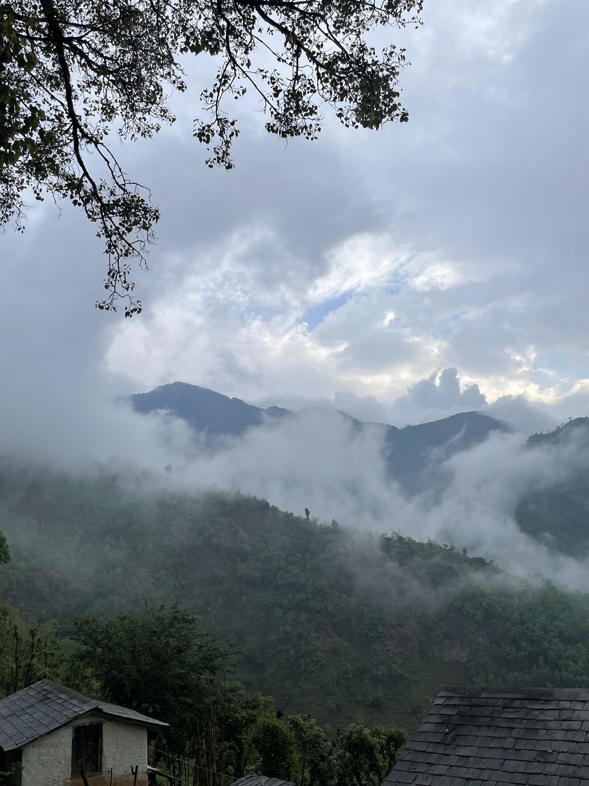 Mist over forested foothills, Nepal