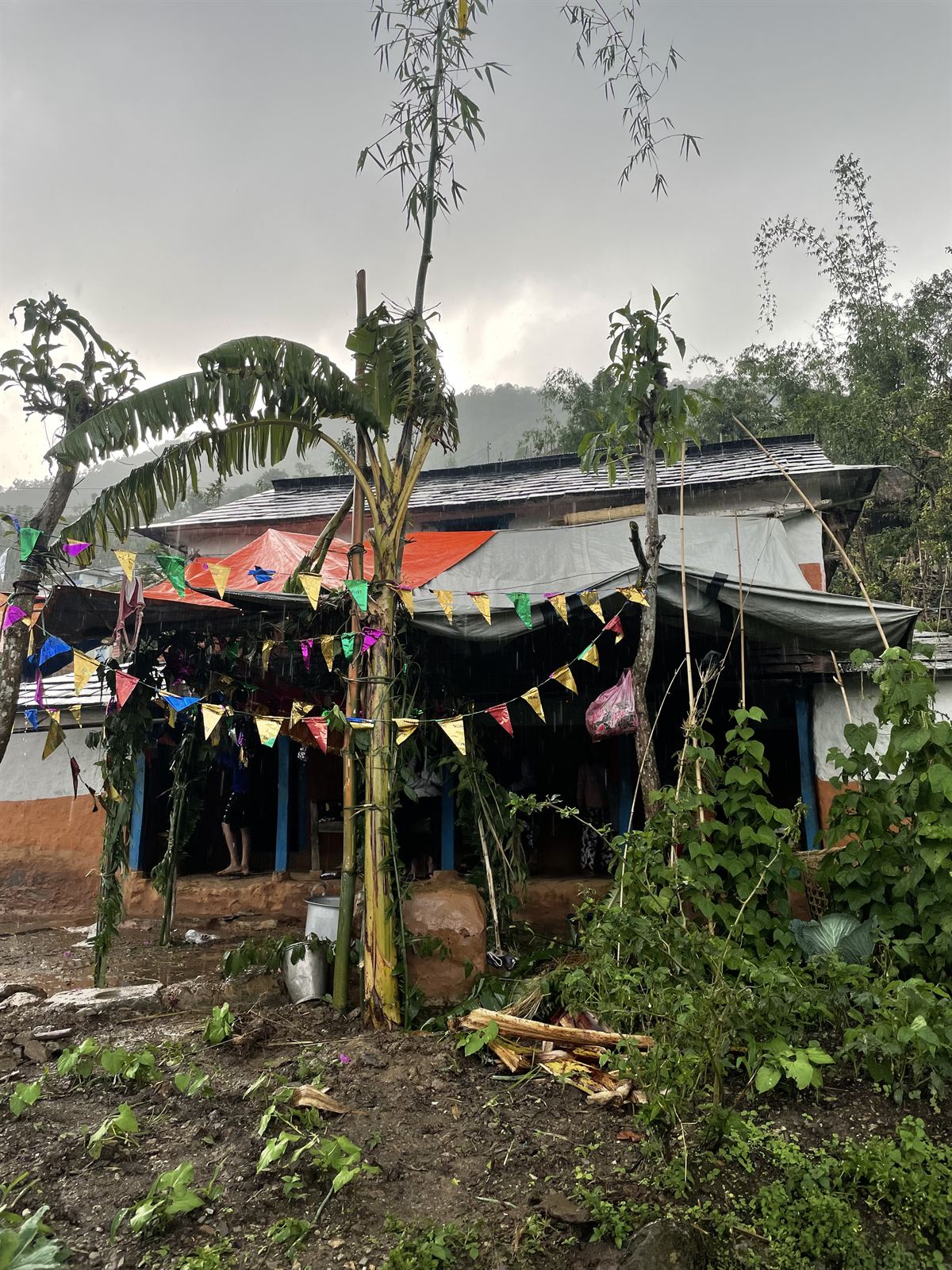 Festival decorations outside a village home, Nepal