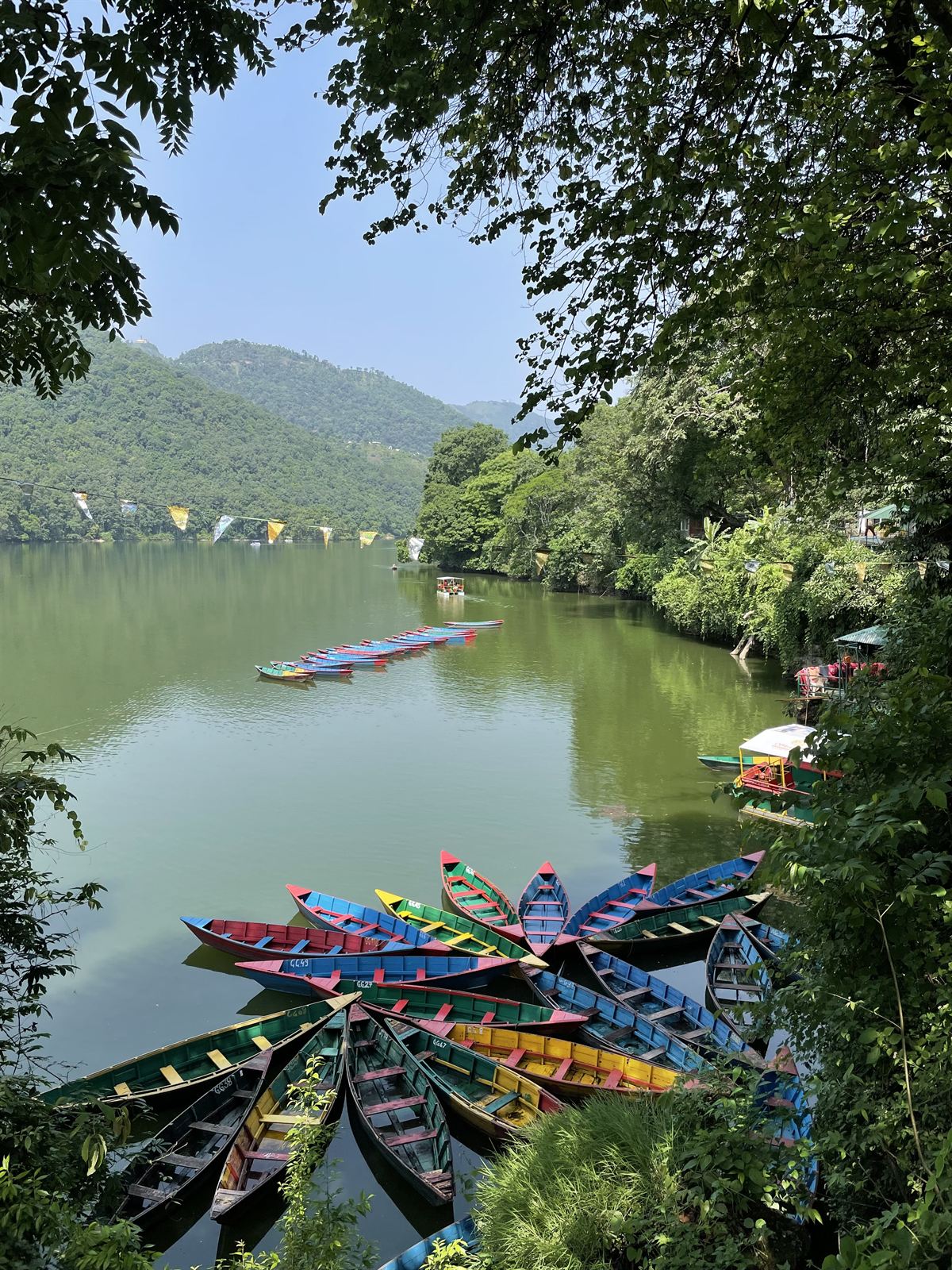 Wooden boats on Phewa Lake, Pokhara