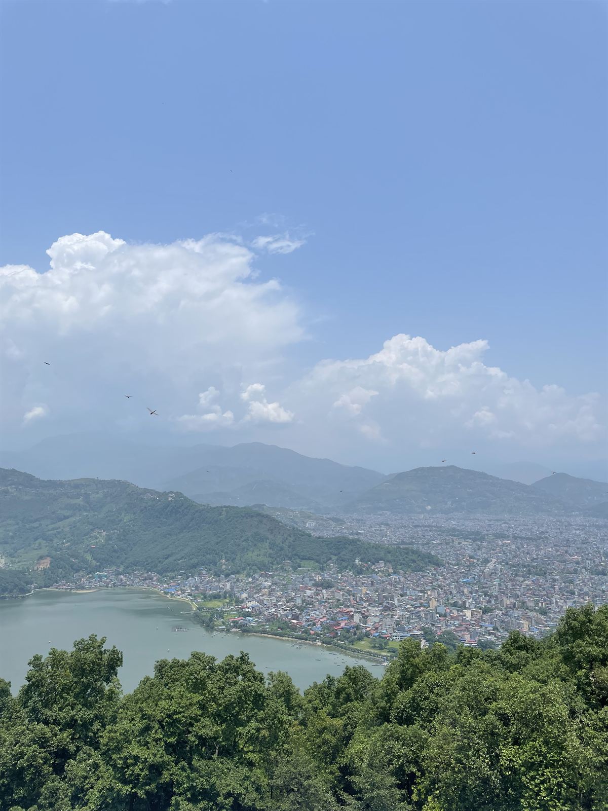 Pokhara and Phewa Lake from the hillside above