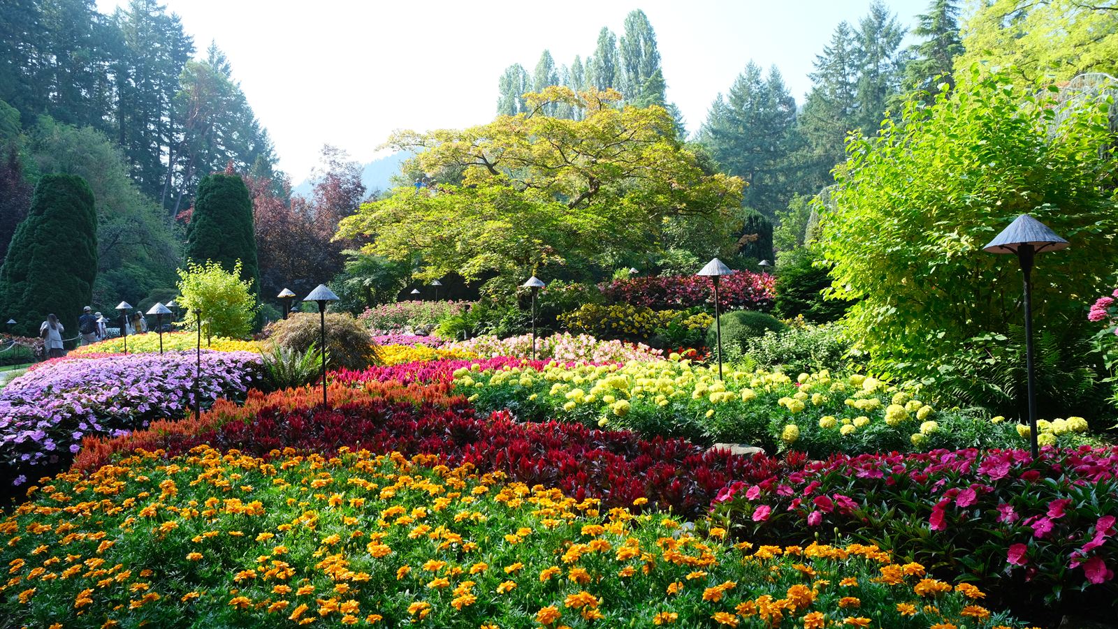Flower beds in the Sunken Garden, Butchart Gardens, Victoria